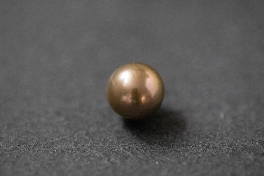Runde Südseeperle in braun-goldenem Farbton mit starkem, metallischem Glanz