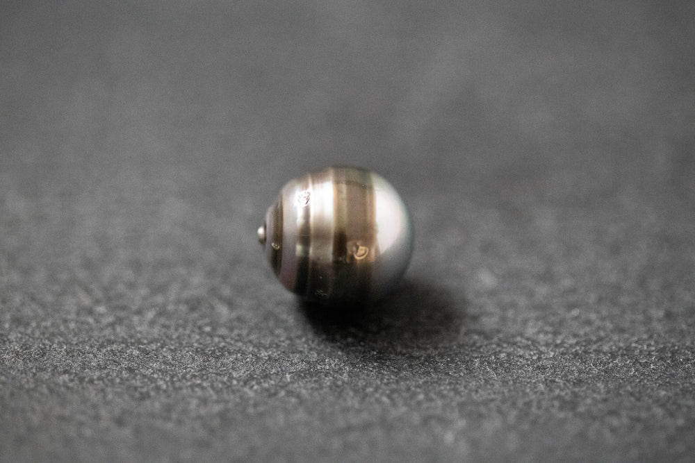 Oval geformte Tahitiperle mit fließendem Grau-Verlauf und seidig schimmernder Oberfläche