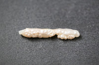 Längliche weiße Biwa-Stick-Frischwasserperle mit natürlicher Struktur und dezentem Schimmer.