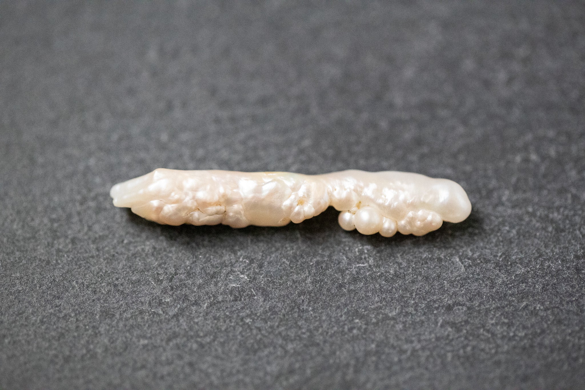 Längliche weiße Biwa-Stick-Frischwasserperle mit natürlicher Struktur und dezentem Schimmer.